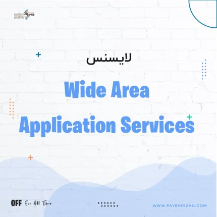 Wide Area Application Services