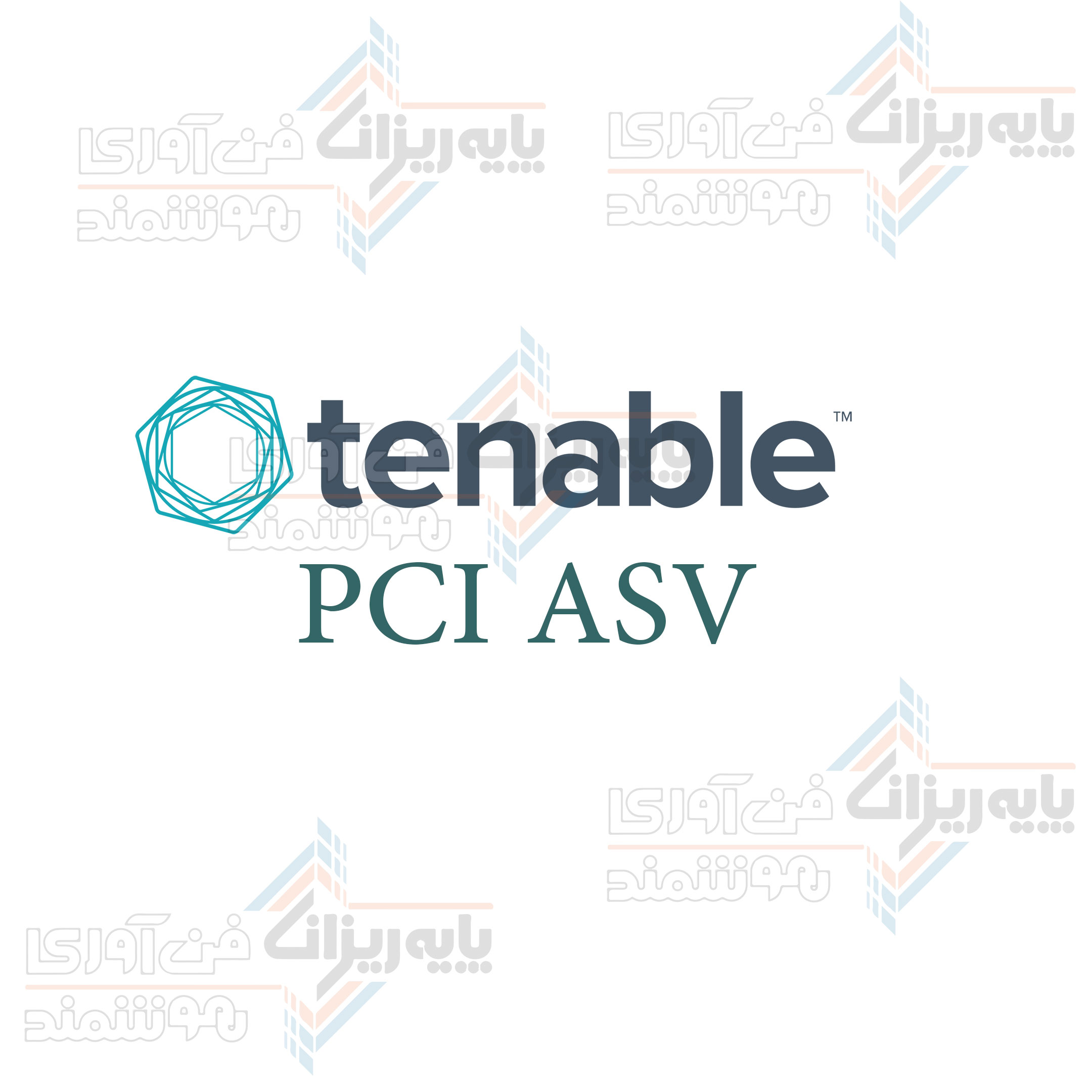نرم-افزار Tenable PCI ASV